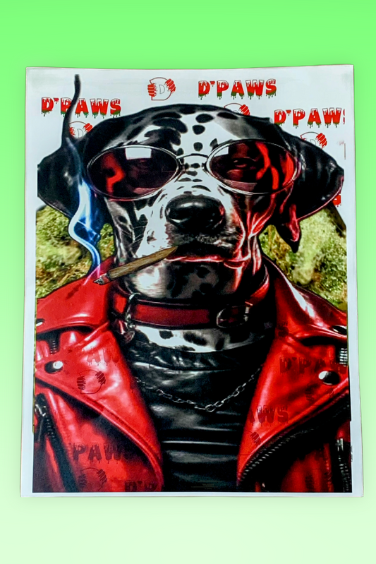 D'PAWS DOG with SUNGLASSES and LEATHER JACKET PHOTO PRINT